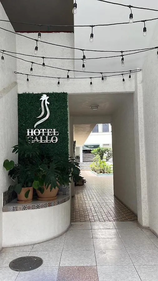 Hotel Gallo contacts
