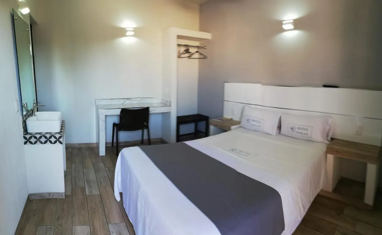 Hotel Gallo Guadalajara