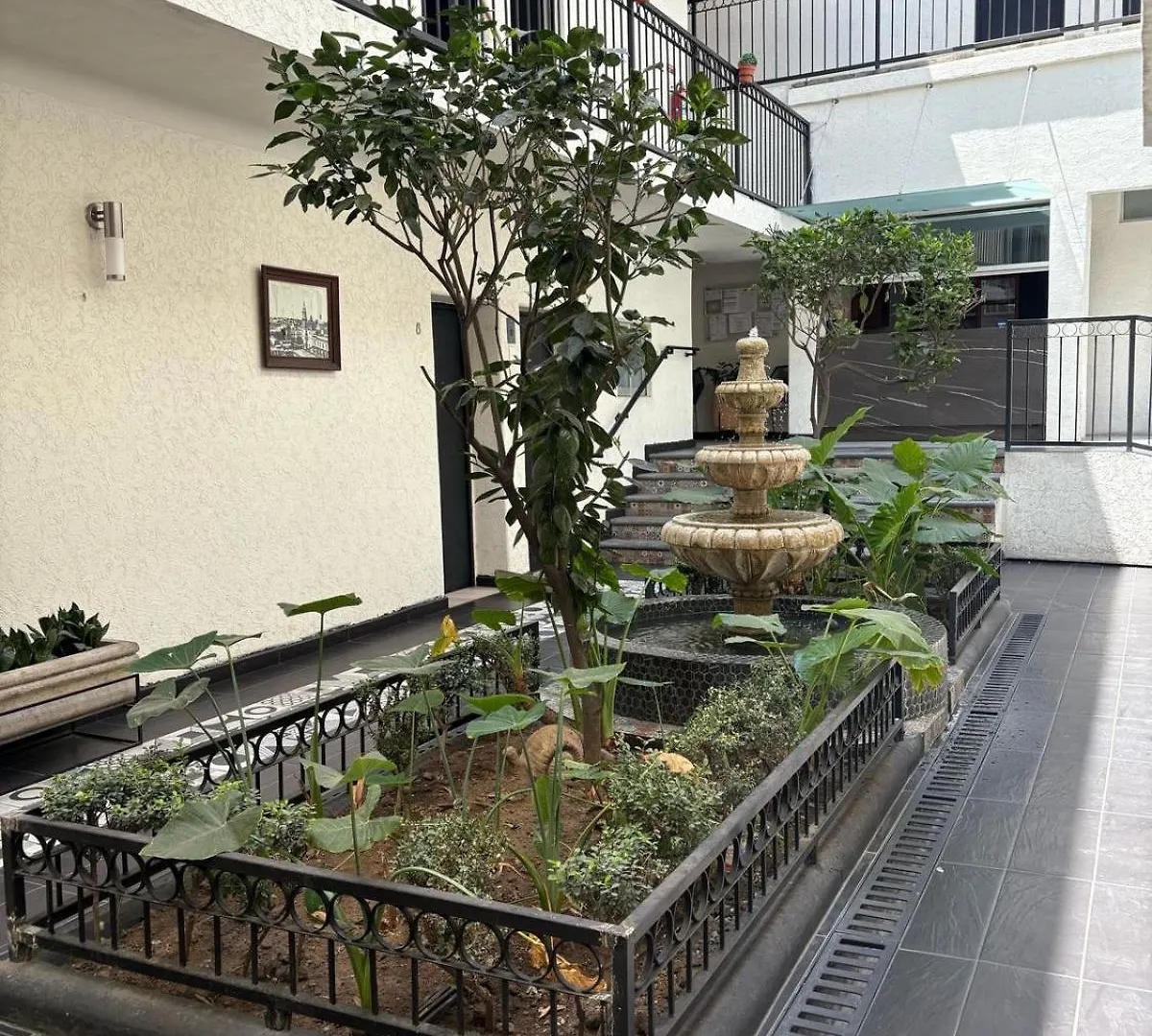 **  Hotel Gallo Guadalajara Mexico